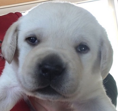 写真 2017-02-23 20 46 33