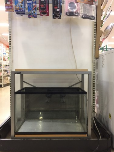 写真 2017-02-28 19 26 02