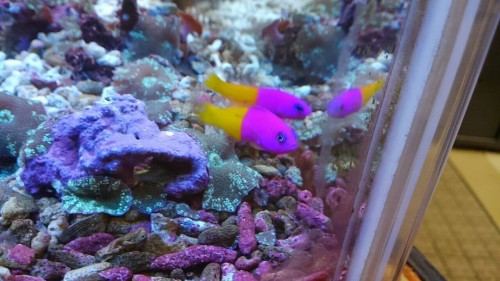 写真 2017-02-11 8 34 32