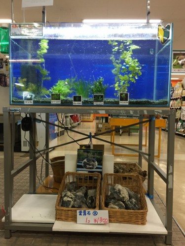 写真 2017-02-28 19 25 48