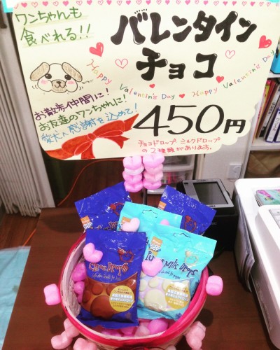 写真 2017-02-08 19 12 18