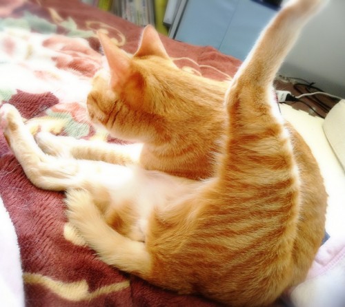 17-03-23-01-40-53-207_deco