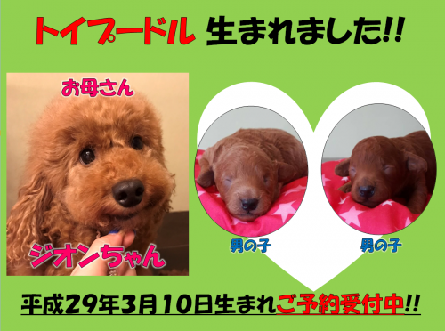 スクリーンショット 2017-03-31 14.01.52