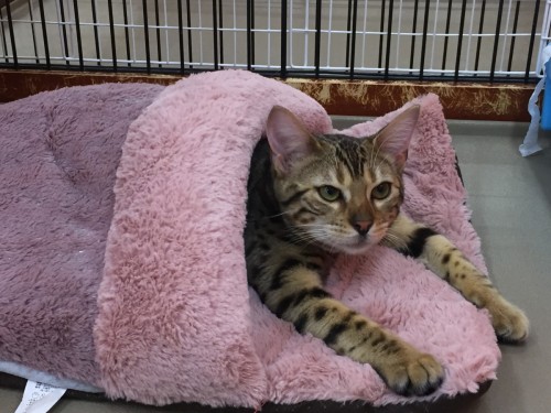 写真 2017-03-24 14 03 59