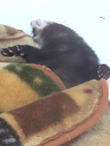 写真 2017-03-24 14 29 59