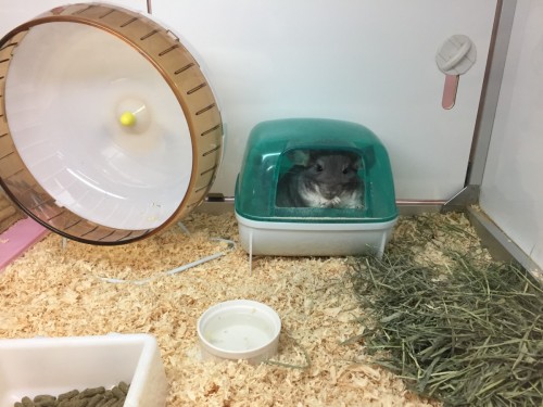 写真 2017-03-14 13 29 44