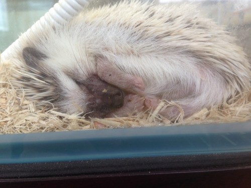 写真 2017-03-02 11 38 12