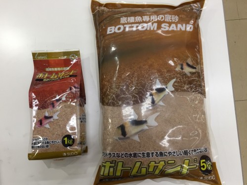 写真 2017-03-29 13 13 00