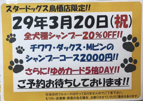 写真 2017-03-04 15 44 08