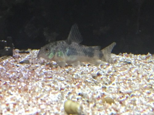 写真 2017-03-29 13 05 01