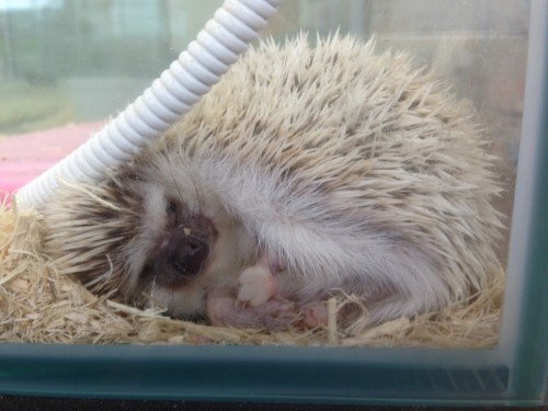 写真 2017-03-02 11 40 47