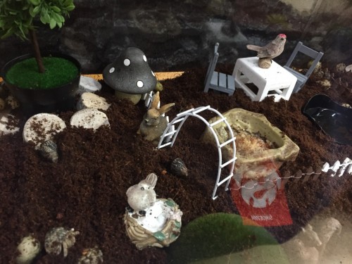 写真 2017-04-26 14 27 19