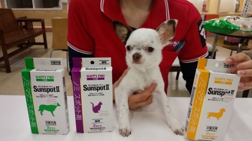 ファイル 2017-04-17 20 29 13