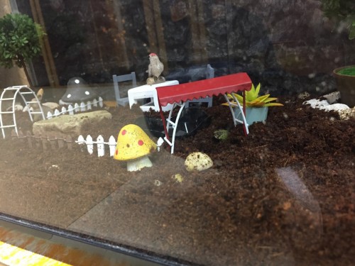 写真 2017-04-26 14 25 32