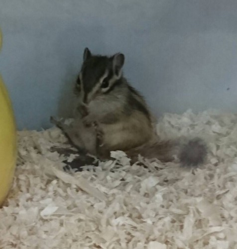 写真 2017-04-07 13 28 52