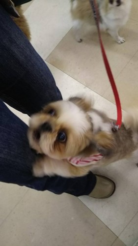 写真 2017-04-20 14 11 12