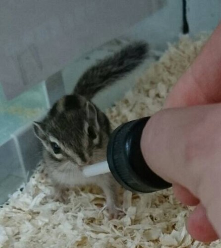 写真 2017-04-07 13 28 46