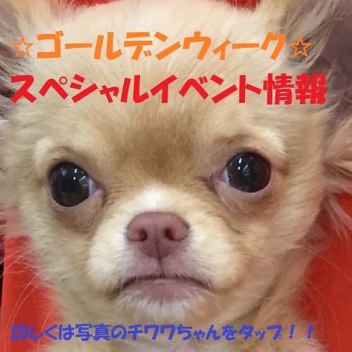 写真 2017-04-21 12 50 20