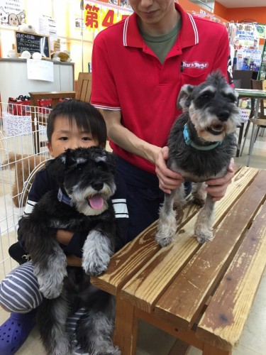 ファイル 2017-05-14 14 29 34