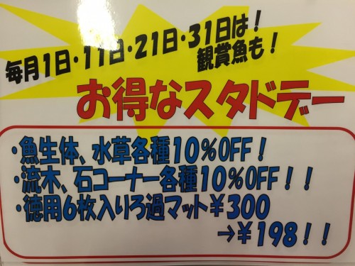 写真 2017-06-07 19 25 20