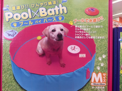 ファイル 2017-06-28 12 54 42