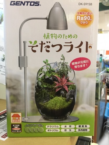 写真 2017-06-22 14 33 52