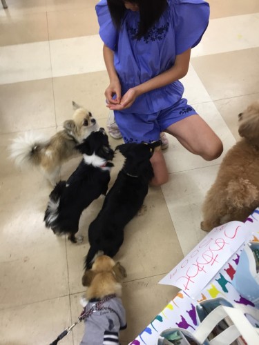 ファイル 2017-06-19 17 26 52