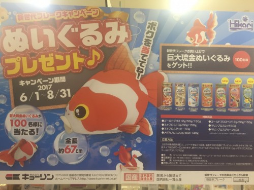 写真 2017-06-04 12 07 55