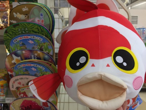 写真 2017-06-04 12 15 46