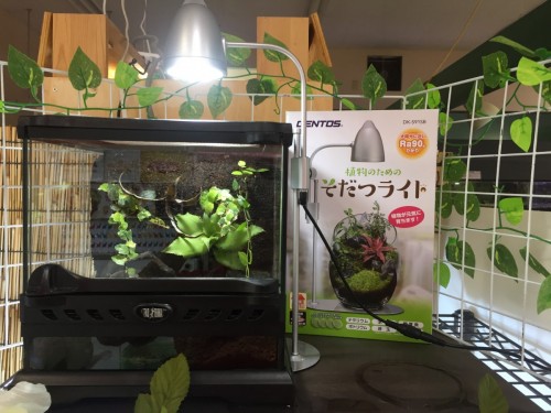 写真 2017-06-22 14 33 18