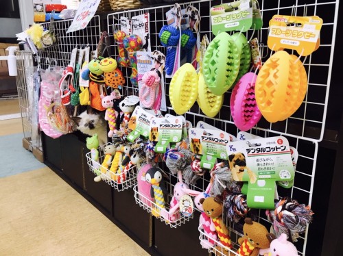 写真 2017-06-08 14 19 02