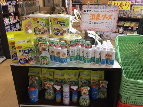 写真 2017-06-11 19 49 38