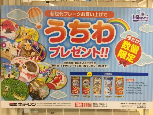 写真 2017-06-04 12 15 20