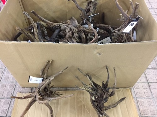 写真 2017-06-07 11 00 16