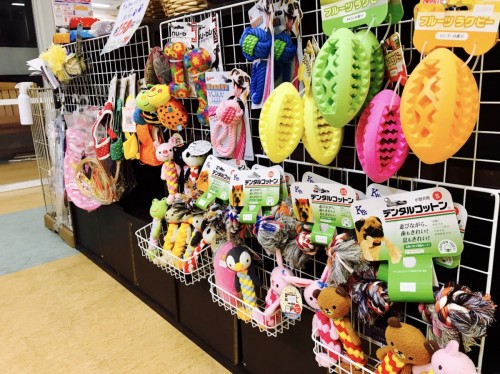 写真 2017-06-08 14 18 52