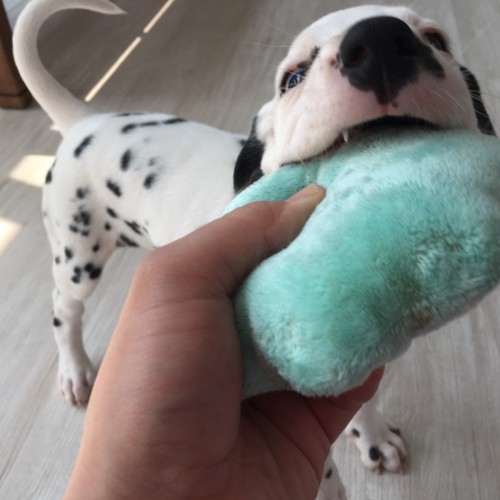 写真 2017-07-29 14 40 45