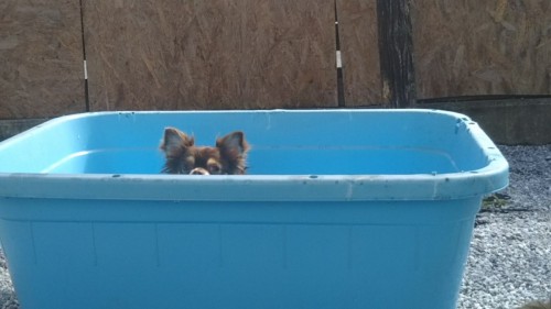 ファイル 2017-07-18 19 26 26