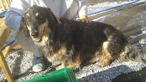 ファイル 2017-07-18 19 27 15