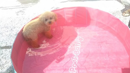 ファイル 2017-07-20 14 30 59