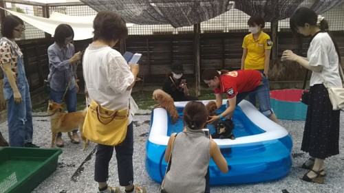 ファイル 2017-08-26 18 14 08