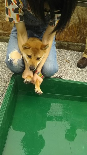 ファイル 2017-08-26 18 13 58