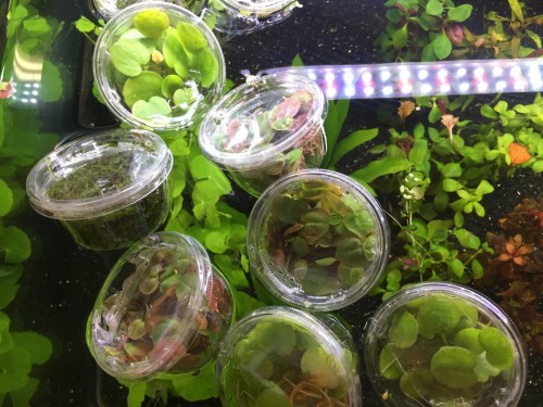 写真 2017-08-22 18 56 04