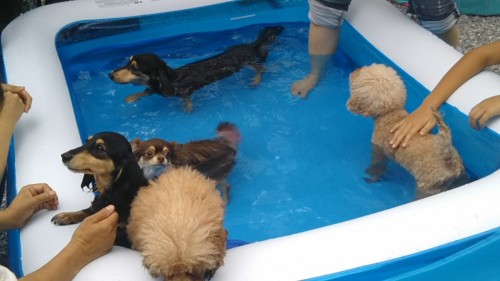 ファイル 2017-08-26 18 13 49