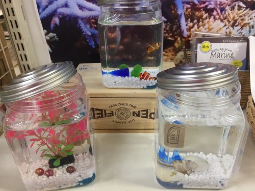 写真 2017-08-26 17 37 04