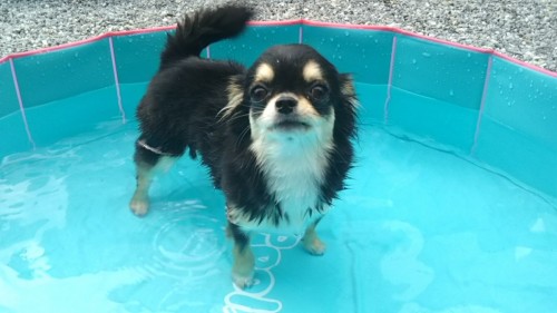 ファイル 2017-08-26 18 13 30