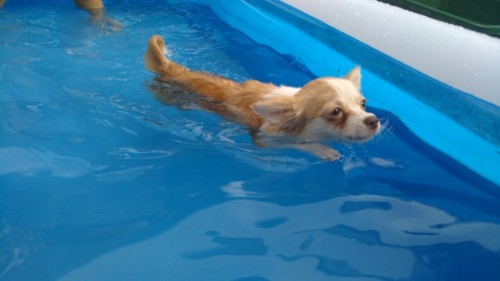 ファイル 2017-08-26 18 13 20