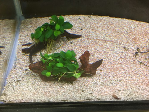 写真 2017-08-22 18 55 36