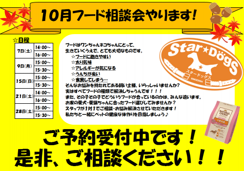 フード相談会画像