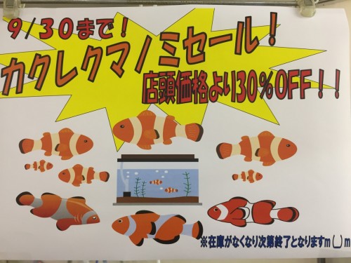 写真 2017-09-15 18 22 59