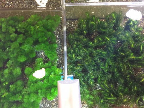 写真 2017-09-07 14 07 59